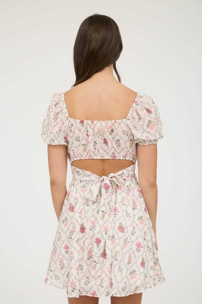 Ivy Trellis Corset Mini Dress