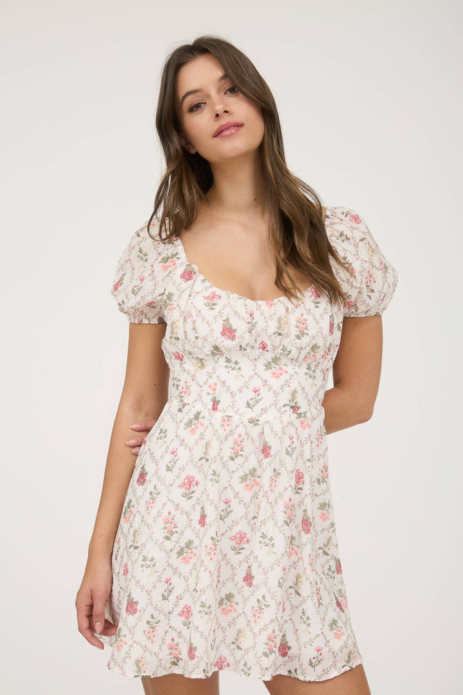 Ivy Trellis Corset Mini Dress