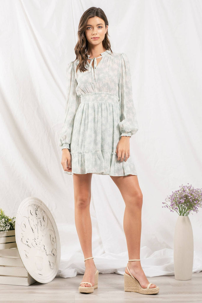 
                
                    Load image into Gallery viewer, Mint Rose Garden Mini Dress
                
            